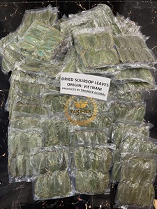 Hojas de Guanábana secas a granel de Vietnam | Proveedor mayorista de ingredientes de té de hierbas Graviola de primera calidad - Product Image 3