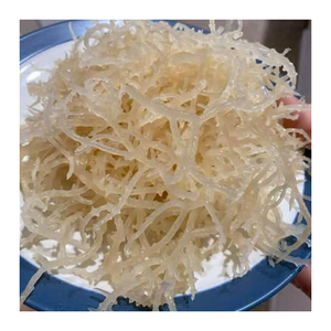 Musgo Marino Natural Seco Sin Sal, Eucheuma Cottonii de Vietnam, Alga Marina Seca al Sol, Ingrediente Crudo, Exportador Mayorista - Product Image 2