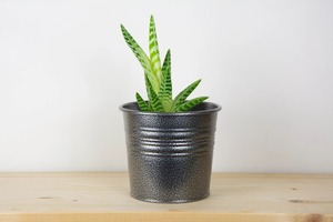 Pot de fleurs décoratif en métal vert pour la maison, le jardin, le balcon, la terrasse, le salon, l'entrée et les présentoirs de plantes en extérieur - Product Image 2