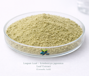 HGO suministro directo de fábrica hoja de níspero Natural puro/extracto de hoja de Eriobotrya Japonica (grado alimenticio) Ácido corosólico 1% - 5% - Product Image 1