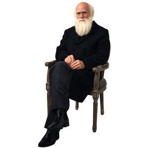Solución de una parada, escultura de estatua de cera de <span class=keywords><strong>Darwin</strong></span> de científico de tamaño humano realista personalizada privada para decoración interior - Product Image 6