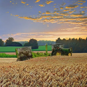 Excavadora Agrícola Sabin de 55 HP, Excavadora de Vetiver de 650 kg, Multifuncional y de Alta Resistencia - Product Image 3