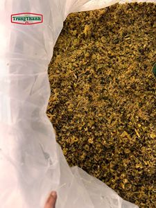 Mejor Solución de Alimento para Ganado: Cáscaras de Piña y Bagazo de Caña de Azúcar, Empaque de 20kg, 12 Meses de Vida Útil, Suministro Sostenible - Product Image 3