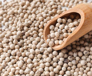 Pimienta Blanca Vietnamita Seca de Alto Aroma, Especias y Hierbas Enteras, Procesamiento en Crudo, 550g/L, OEM/ODM, Exportación, FAQ, Todos los Grados, Orgánico - Product Image 6