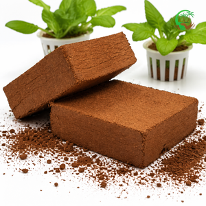 Hydroponic 5Kg Cocopeat Block Low EC Buffered 70-90L Expansion Coir Pith Growing Media Bulk Export Supplier - Product Image 1