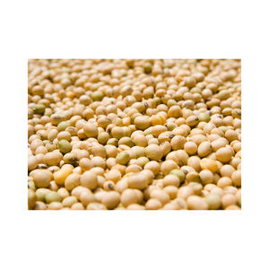 Huile de tournesol raffinée biologique naturelle en gros de Chine, export de haute qualité - Product Image 6