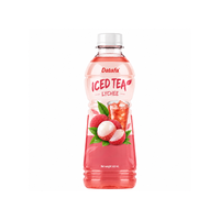 Beste Verfrissende IJsthee Hibiscus Smaak PET Fles 500ml |   Aangepaste smaakontwerpen & logo OEM ODM Private Label