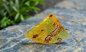 Corte de Ámbar Báltico Natural, Gema con Forma Elegante, Color Increíble, Ámbar Suelto al por Mayor para Joyería, Piedra de Nacimiento de Mayo - Product Image 4