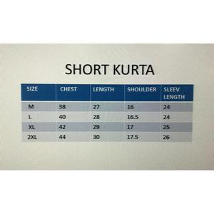 DISEÑADOR ALGODÓN MEZCLA DE TELA LISA CORTO HOMBRE KURTA GRIS - Product Image 2