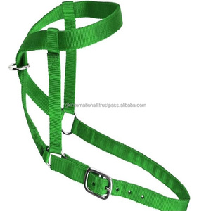 Qualité supérieure Personnaliser Perroquet Vert Nylon Cheval licou en plusieurs tailles et couleurs personnalisées avec quincaillerie en acier inoxydable - Product Image 2