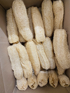 Esponja de Luffa Natural Premium, Ecológica y Biodegradable, para Exfoliación Corporal y Limpieza de Cocina - Product Image 2
