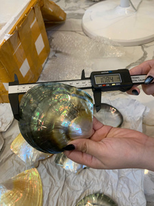 Handmade Mother of Pearl Plate Vietnam Shell Material for Jewelry Storage Serving Plate Decor Polished Use - Product Image 5