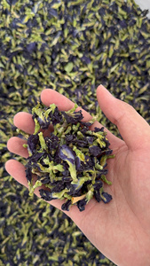 Vente en gros Fleur séchée de thé aux pois papillon de qualité supérieure naturelle du Vietnam - Product Image 6