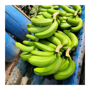 Bananes Cavendish vertes de qualité export, cultivées naturellement, fraîches, pour la vente en gros et l'usage commercial - Product Image 6