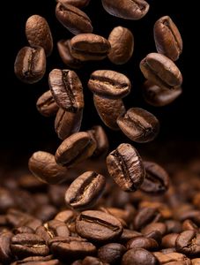 Café en Grano Entero Estándar de Vietnam, 100% Robusta, Tueste Medio, Grado 1, Personalizable OEM/ODM HANCOFFEE - Product Image 2