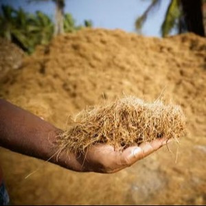 Bloque de Fibra de Coco sin Lavar, Sustrato de Coco Biodegradable y Ecológico para Jardinería, Horticultura y Paisajismo - Product Image 1