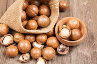 Made In Vietnam ISO Standard Big Sale Premium Grade Cracked Roasted Macadamia Nuts Bulk