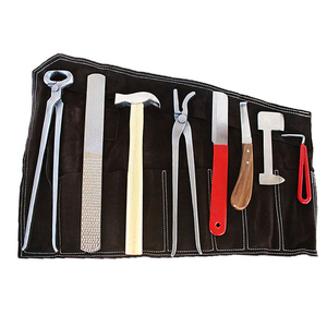 Kit de Herrador Profesional Reutilizable de Acero Inoxidable, Set Portátil para el Cuidado de Pezuñas de Caballos, Precio Económico al por Mayor - Product Image 1