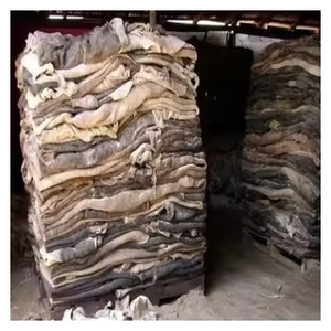 Pieles de vaca saladas secas a granel, calidad de exportación, pieles bovinas naturales sin procesar para la industria de curtido de cuero - Product Image 3