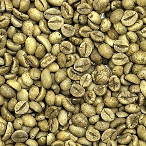 Café Vert Robusta du Vietnam, Grains de Taille 13, Fournisseur en Gros de Qualité Export pour l'Industrie du Café - Product Image 5
