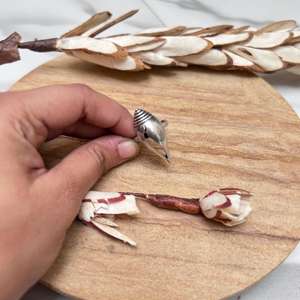 Bague Bohème Coquillage Tendance en Laiton Tribal pour Femme, Finition Argent Oxydé, Motif Coquillage Ethnique, Vente en Gros - Product Image 2