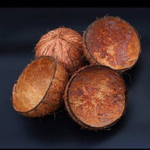 Coques de noix de coco brutes en vrac |   Charbon actif granulaire (GAC) de qualité supérieure pour la purification de l'air, origine Inde - Product Image 4