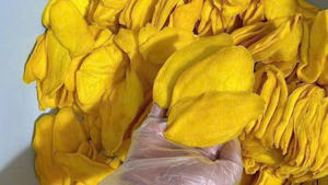 Mangues séchées de qualité supérieure, ingrédient pour desserts de boulangerie et garnitures de yaourt, doux et moelleux, en vrac, du Vietnam - Product Image 3