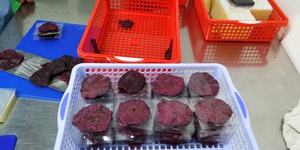 Fruta del Dragón Seca Saludable y Sostenible de Alta Calidad, Ecológica, Rica en Minerales, Pitaya BLUE LOTUS FARM, Sabor Dulce, Envasada al Vacío - Product Image 3