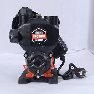 Pompe de surpression HYDROPLUS INTERNATIONAL 1HP, 5,5 bars, système d'augmentation de pression d'eau haute puissance pour usage domestique intensif - Product Image 2