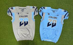 Ensemble de maillots de football américain Rexfit Sports Wholesale Eagles 23 blanc et vert, sublimés, respirants, pour hommes - Product Image 6