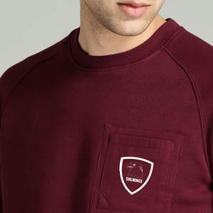 Sudadera Hombre Manga Raglán Algodón Calidad Premium Logotipo Personalizado Bordado Slim Fit Estilos de Invierno Fabricante Directo 3D - Product Image 6