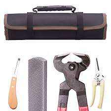 Nouvel ensemble de lime à sabots manuelle et de coupe-sabots en acier inoxydable avec manche en bois, outils de soin des sabots de cheval, outils vétérinaires Pentax - Product Image 6