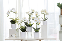 Fournisseur en gros de fleurs d'orchidées artificielles avec design décoratif en pot