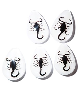 Cabochon Black Scorpion Pear Shape cut <b>top</b> 25x17 mm White Flat Bottom for Crafts and Jewelry Making - Product Image 4