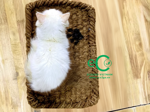 Eco2go Vietnam 100% Biodegradable Coir Pet <b>Mat</b> for pet | Breathable Cooling Mattress for All Seasons - Product Image 6