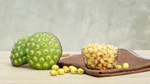 เมล็ดบัวคุณภาพสูง ราคาดีที่สุด สำหรับทำอาหารสำหรับผู้ใหญ่และเด็ก - Product Image 6