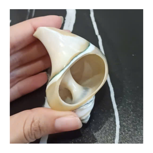 <b>Shell</b> Napkin Rings 1 Piece Handmade Durable Creative Style Irregular Shape Table Decoration Home & Restaurant Use From Viet Nam - Product Image 3