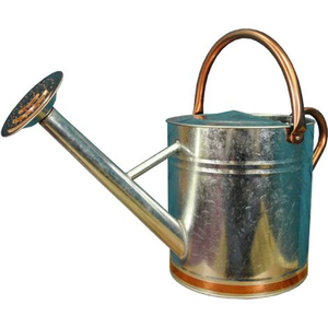 Arrosoir vintage en fer galvanisé vert, arrosoir de jardin avec long bec, style antique, décoration de jardin à domicile, arrosoir pour plantes - Product Image 5