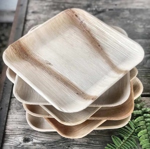 Assiettes carrées durables en feuilles de palmier de 7 pouces – Vaisselle écologique jetable de qualité alimentaire pour les fêtes et les centres de villégiature - Product Image 1