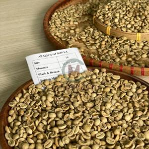 High Grade Vietnam AA+ Robusta <b>Green</b> Coffee <b>Beans</b> Size 16 Natural Quality Factory Supply Bulk Export - Product Image 4