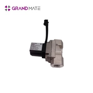 Electrodomésticos y electrodoméstico comercial 12V válvula solenoide de gas - Product Image 1