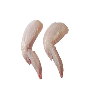 Achetez Frozen 2 Joint Wing de qualité supérieure, livraison rapide, obtenez le vôtre maintenant pour une expérience de collection incroyable - Product Image 5