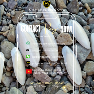 POLVO DE HUESO DE SEPPIA RICO EN CALCIO para Mascotas y Caracoles - Product Image 6