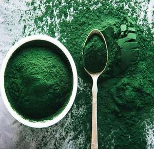 Poudre de spiruline biologique en gros, fabricant OEM, superaliment pur, approvisionnement en vrac au meilleur prix - Product Image 4
