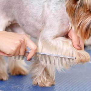 Estructura ligera para un fácil manejo, peine para mascotas con dientes de precisión para eliminar nudos y pelusas. - Product Image 5