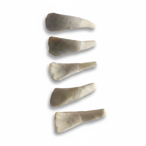Dents d'élanchis sculptées à la main de qualité supérieure, bijoux tribaux authentiques et composants artisanaux - Product Image 1
