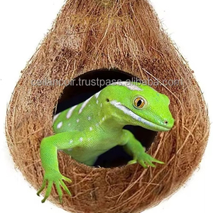 Cueva de Coco para Esconderse, Ideal para Terrarios, Aves, Palomas, Serpientes, Lagartos, Anfibios, Reptiles, Ranas, Hecho en Sri Lanka, para Exportación - Product Image 2