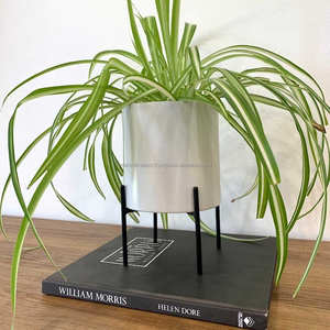 Top Qualité Sublimation Jardinières Artisanat Fabricant Exportateur au Meilleur Prix - Product Image 3