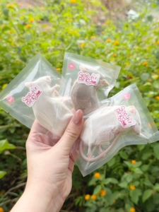 Ratones Congelados para Alimentación (16-22g) – Empaque Individual |   Enriquecido con Probióticos - Product Image 4