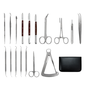 Juego de 17 Instrumentos de Modelado Dental de Acero Inoxidable Alemán con Estuche de Transporte GRATUITO, Kit de Herramientas de Laboratorio de Precisión - Product Image 1